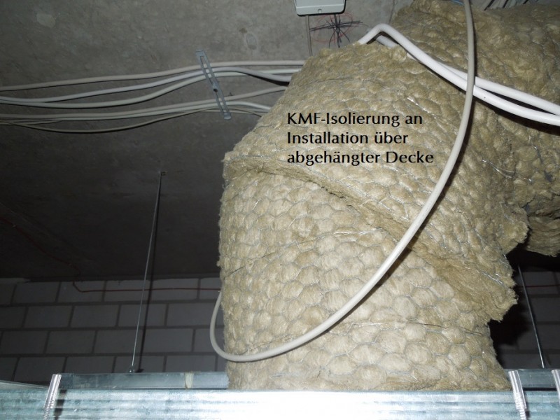 moderne blumenksten Premium Fiberglas Blumenksten mit Rollen online kaufen  modern, leicht &  wetterfest